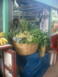 Surquillo, Avenida Paseo de la Republica,
                        Markthalle, Kr�uterstand (leider nicht so
                        scharfes Foto)