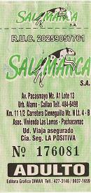 Schwarz-gr�nes Busbillet der Busfirma
                        "Salamanca SA" mit Minicombis, Linie
                        S,