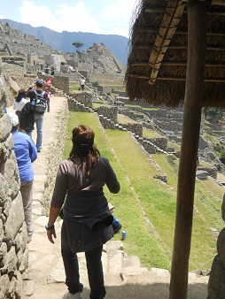Escalera larga como hay muchos en Machu
Picchu Escalera larga como hay muchos en Machu Picchu