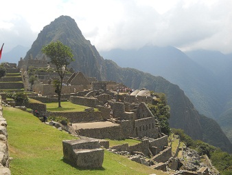 El cerro mirador Huaynapicchu con �rbol