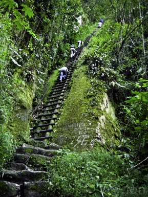 Escalera de madera vertical para
subir a la montaña Putucusi / Putukusi Escalera de
madera vertical para subir a la montaña Putucusi /
Putukusi