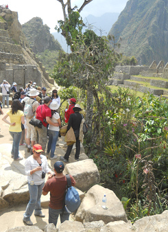 Turistas con el jard�n bot�nico al fondo