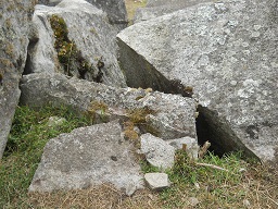 Cantera de Machu Picchu: piedra grande con
                    superficie plana