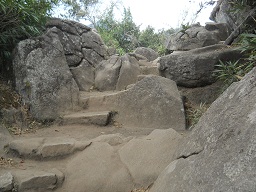 Suben escaleras a un nivel m�s alto