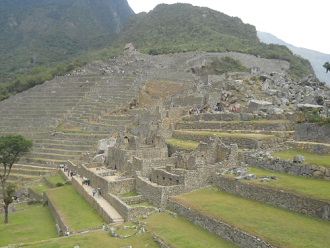 Machu Picchu: Vista de la plataforma superior
al árbol, al sector agricola y a la cantera grande Machu Picchu: Vista de la plataforma superior
al árbol, al sector agricola y a la cantera grande