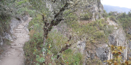Machu
Picchu, camino al puente Inca, paredes rocosas
verticales, foto panorámica Machu Picchu, camino al puente Inca, paredes
rocosas verticales, foto panorámica