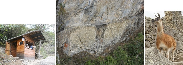 Machu Picchu: el camino al puente
                                Inca pasando la casita de guardi�n y
                                vicu�as, y hay m�s vistas