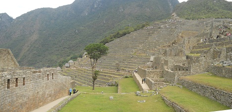 Machu Picchu: Sicht auf die Grosse Mauer mit Baum und dem Landwirtschaftssektor im Hintergrund mit dem H�uschen oben