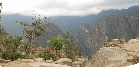 Botanischer Garten in Machu Picchu: Str�ucher mit dem Putucusi-Berg und weiteren Bergen im Hintergrund