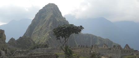 Der grosse Steinbruch von Machu Picchu mit der Sicht auf einen Baum und den Hausberg Huaynapicchu