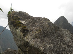 Der grosse Steinbruch von Machu Picchu: Steinspitze mit flachen Bruchfl�chen mit Moos