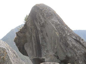 Der grosse Steinbruch von Machu Picchu: Gigastein mit gebogenen Fl�chen und ein Gesicht, Nahaufnahme 02
