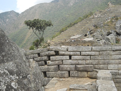 Machu Picchu, Meditationszimmer: Die Sicht �ber die Seitenmauer mit dem Baum und Terrassen des Landwirtschaftssektors mit dem Pausenh�uschen oben