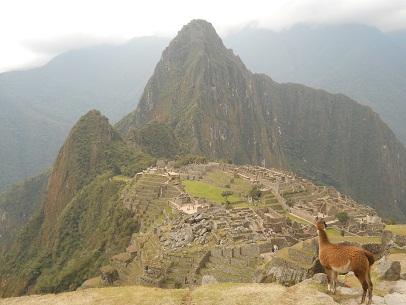 Vicunia mit Machu Picchu (grosser Steinbruch,
                    Tempelanlagen, Sonnenpyramide, der Weiler mit dem
                    heiligen Stein, Arbeiterh�uschen, Zentralplatz,
                    Spiegeltempel oder M�rsertempel, die grosse Mauer,
                    das Adlergef�ngnis oder der Adlertempel)