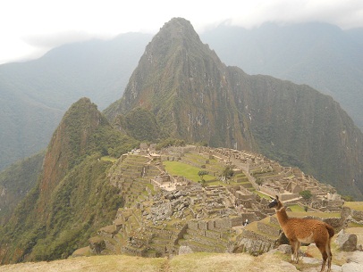 Vicunia mit Machu Picchu 04 (grosser
                    Steinbruch, Tempelanlagen, Sonnenpyramide, der
                    Weiler mit dem heiligen Stein, Arbeiterh�uschen,
                    Zentralplatz, Spiegeltempel oder M�rsertempel, die
                    grosse Mauer, das Adlergef�ngnis oder der
                    Adlertempel)