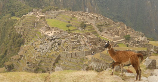 Vicunia mit Machu Picchu 05 (grosser
                    Steinbruch, Tempelanlagen, Sonnenpyramide, der
                    Weiler mit dem heiligen Stein, Arbeiterh�uschen,
                    Zentralplatz, Spiegeltempel oder M�rsertempel, die
                    grosse Mauer, das Adlergef�ngnis oder der
                    Adlertempel)