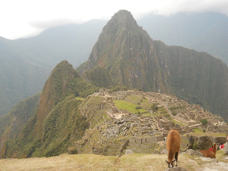 Vicunia mit Machu Picchu 07 (grosser
                    Steinbruch, Tempelanlagen, Sonnenpyramide, der
                    Weiler mit dem heiligen Stein, Arbeiterh�uschen,
                    Zentralplatz, Spiegeltempel oder M�rsertempel, die
                    grosse Mauer, das Adlergef�ngnis oder der
                    Adlertempel)
