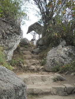 Machu Picchu, der Weg zur Inkabr�cke, Treppe in
                    einem St�ck