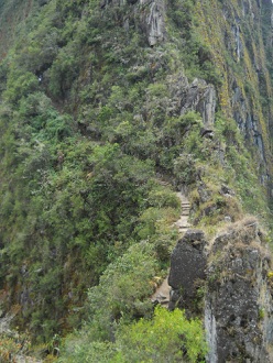 Wanderweg zum hohen Hausberg Huaynapicchu,
                    Treppen