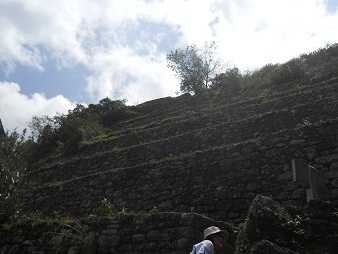 Weiler Huaynapicchu, Landwirtschaftsterrassen 02