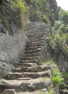 Aufstieg zum Gipfel Huaynapicchu - noch eine unregelm�ssige Treppe
