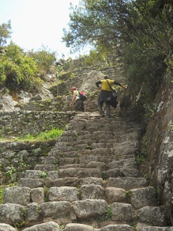 Aufstieg zum Gipfel Huaynapicchu, unregelm�ssige Treppen