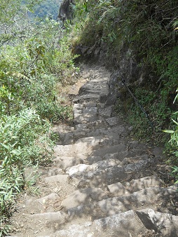 R�ckweg von Huaynapicchu, unregelm�ssige
                    Treppen