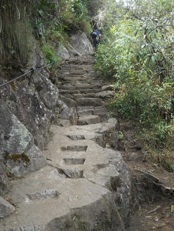 Ein
                                  kurzer Teil der Treppen zum Hausberg
                                  Huayna Picchu besteht aus einer
                                  horizontal geschnittenen Felsplatte
                                  und in die Felsplatte gehauenen
                                  Treppenstufen