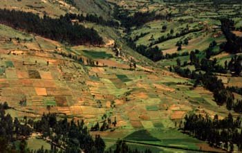 Valle del Mantaro con campos
                        agr�colas en pendientes