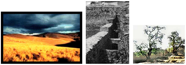 Historia de los
                                Wankas cap.1-3: campos amarillos, ruina
                                Wariwillka, �rboles molles