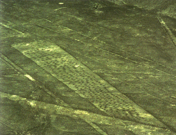 Piste von Palpa mit Löchern
(Koordinaten: Breite -14.555911, Länge -75.177705) Piste von
Palpa mit Löchern (Koordinaten: Breite -14.555911, Länge
-75.177705)