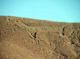 Ein Geoglyph in Form eines Lamas, z.B.
an der archäologischen Stätte
"Chen-Chen", südöstlich von Maquegua
in Süd-Peru Ein
Geoglyph in Form eines Lamas, z.B. an der
archäologischen Stätte "Chen-Chen",
südöstlich von Maquegua in Süd-Peru