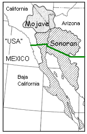 Karte der
Sonorawüste in Nord-Mexiko mit Niederkalifornien, auch
in Arizona und in Kalifornien Karte der
Sonorawüste in Nord-Mexiko mit Niederkalifornien, auch
in Arizona und in Kalifornien