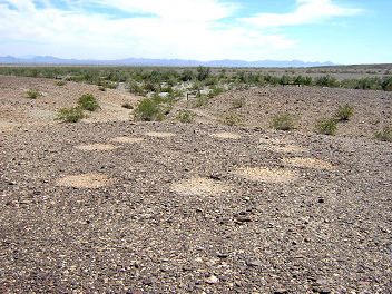 Geoglyph
im Mule Canyon in Mule Tank, 15 Meilen westlich von
Blythe, Süd-Kalifornien Geoglyph im Mule Canyon in Mule Tank, 15 Meilen
westlich von Blythe, Süd-Kalifornien