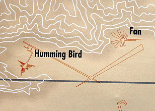 Linien von Nasca, Detail der Institutskarte
                        mit dem Kolibri (engl. Hummingbird) und mit dem
                        F�cher (engl. Fan), der auch als Stern (engl.
                        Star) bezeichnet wird