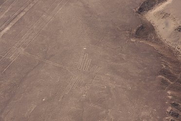 Der reale Kolibri. Auf der Vergr�sserung
                        sieht man deutlich, dass auf der Institutskarte
                        Linien fehlen