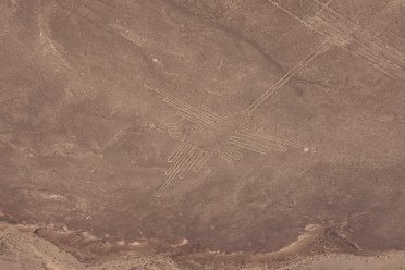 Der reale Kolibri. Auf der Vergr�sserung
                        sieht man deutlich, dass auf der Institutskarte
                        Linien fehlen