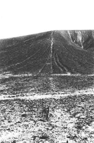 Einige Linien führen auch direkt steil
die Berge hinauf Einige Linien führen
auch direkt steil die Berge hinauf