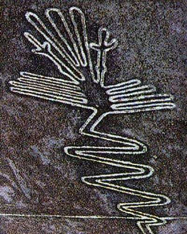Ein
                          Teil der Figur des Flamingo (auch Aronstab,
                          Fischreiher oder Phoenix-Vogel genannt): Frau
                          Reiche putzte alle die Linien, damit sie f�r
                          die Welt�ffentlichkeit gut sichtbar sind