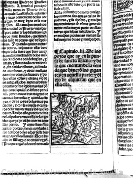 Pedro Cieza de Le�n, here is a print of one of
                  his reports about the "Indians" (natives),
                  noted about the Nasca lines as first European in 1537