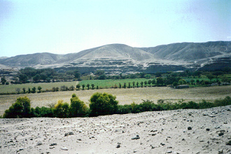 Der fruchtbare
                        Landstreifen durch den Nasca-Fluss - dieser
                        Fluss bringt jedes Jahr frischen Schlamm, so wie
                        der Nil in �gypten, aber dieser Fluss ist auch
                        eine Gefahr, wenn es zu Riesen�berschwemmungen
                        kommt, ca. alle 500 Jahre...