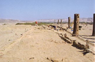 Estaquer�a (03) del Templo del
                escalonado, 4 km de Cahuachi cerca de Nasca, con una
                parte nueva adonde los arque�logos est�n trabajando