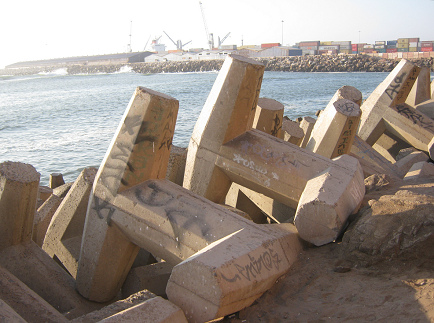Protectores de la costa en
                                    Arica entre el camino de Arica a la
                                    playa Laucho, primer plano