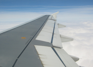 Der Flugzeugfl�gel