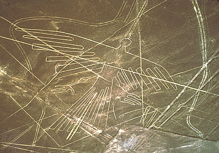 Dibujo de las
                          l�neas de Nazca, el C�ndor