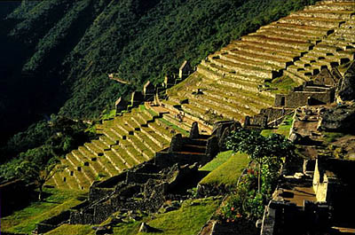 Terrazas de Machu
                          Picchu