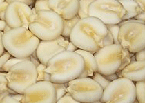 Mote, granos de ma�z blanco