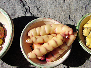 Papas (patatas) naranjas
                          tendidas