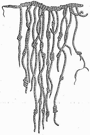 Cordeles de quipus
                          (khipus)