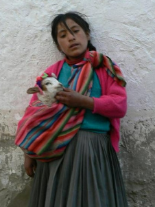 Lliclla con un
                          cordero